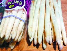 春天的白露笋