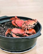 大吉庆受欢迎私房菜