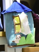 猫咪伴你去旅游