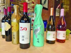西鸽酒庄的情书