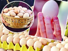 鸡蛋对健康的益处