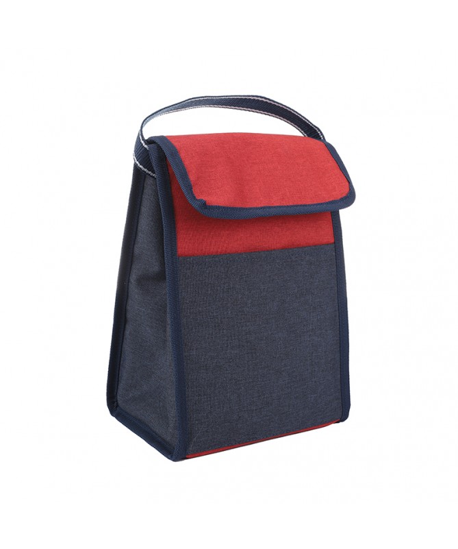 Lunch Bag with carrying handle