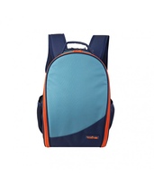 Product color