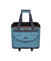 Product color