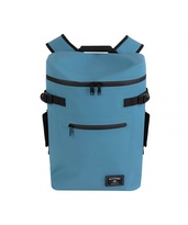 Product color