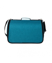 Product color