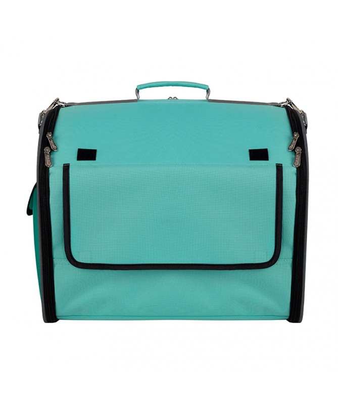 PET TRAVEL CARRY BAG