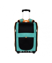 Product color